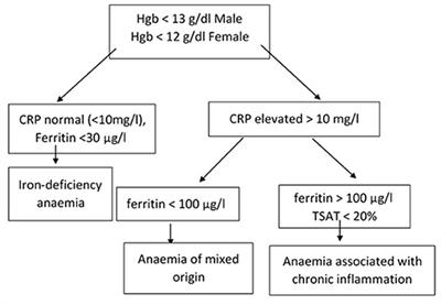 Iron Deficiency Anemia in Inflammatory Bowel Disease: What Do We Know?